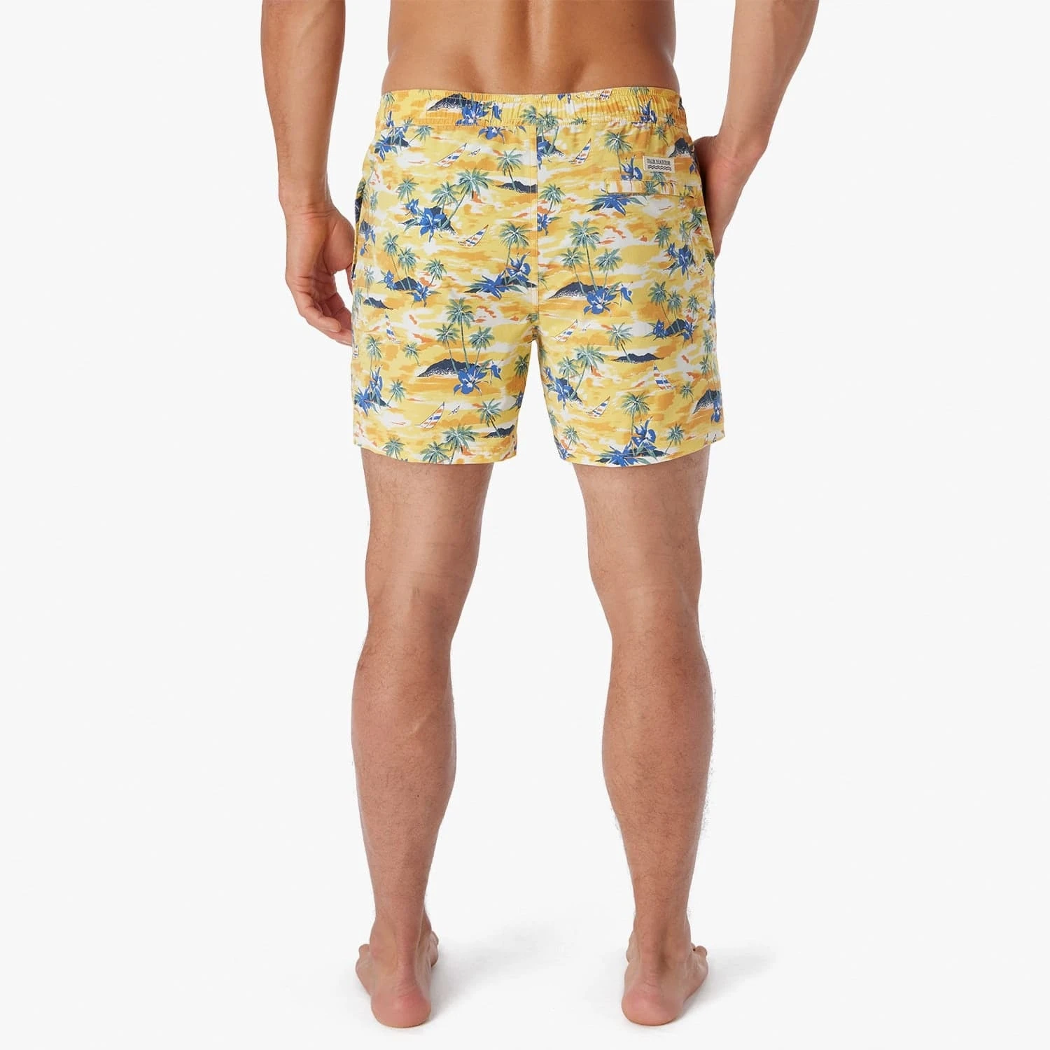 The Bungalow Trunk | Birds Of Paradise Windsail - Image 5