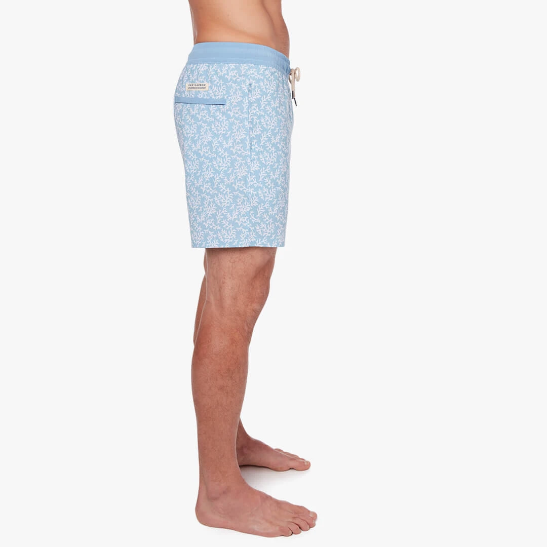 The Bayberry Trunk | Mist Seaweed - Image 4